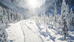 Due fondisti percorrono una pista da sci di fondo innevata attraverso un soleggiato paesaggio invernale, con alberi innevati e montagne sullo sfondo.