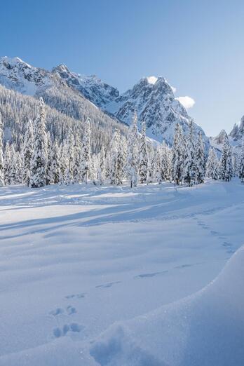 Paesaggio dolomitico innevato