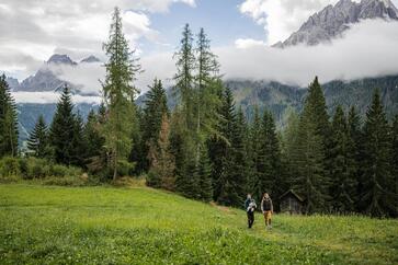 Un uomo e una donna passeggiano nel bosco con il loro bambino