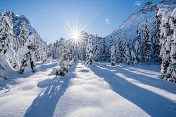 Paesaggio con alberi innevati