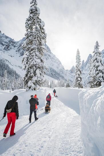 Una famiglia cammina con le slitte attraverso un paesaggio innevato
