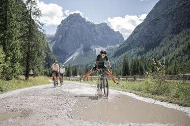 Three cyclists ride along a wide path between a meadow and a forest; a mountain landscape can be seen in the background.