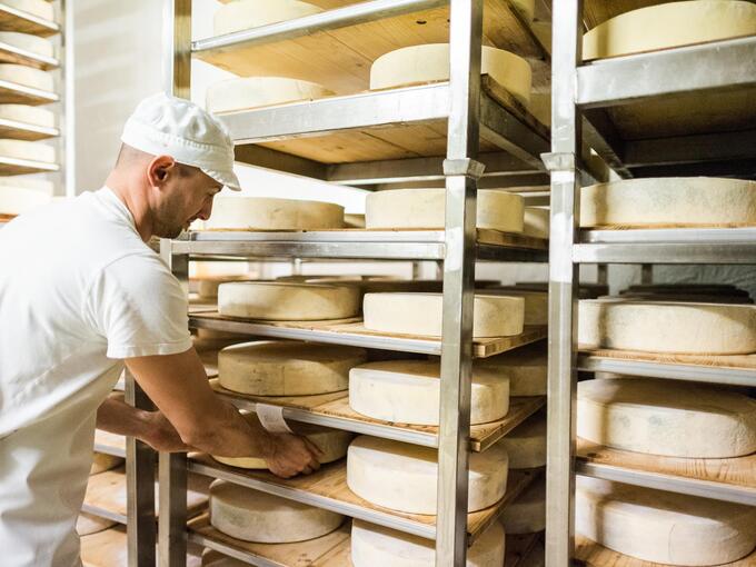 A man is standing in a dairy and preparing cheese