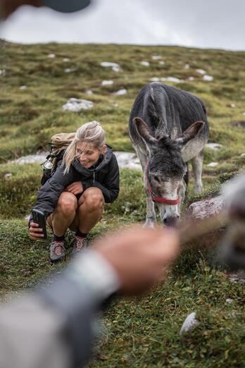 A woman is crouching next to a donkey and taking a selfie