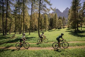 Three cyclists ride through a landscape of forest and meadows; mountains can be seen in the background.
